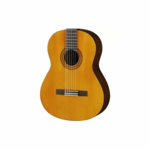 گیتار سی 40